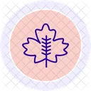 Maple Leaf Line Icon Icon