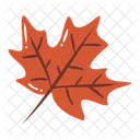 Autumn Maple Leaf Autumn Acorn Icon