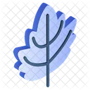 Maple Leaf Leaflet Bloom Icon