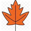 Maple Leaf Icon Icon