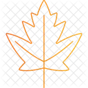 Maple Leaf  Icon