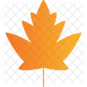 Maple Leaf Icon Icon