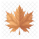 Maple Leaf Leaf Nature Icon