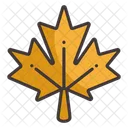 Maple leaf  Icon