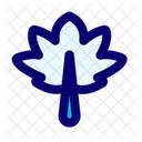 Maple Leaf Icon