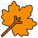 Maple Leaf Leaf Nature Icon