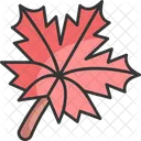 Maple Leaf Leaf Nature Icon