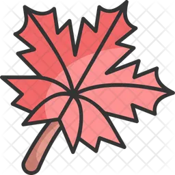 Maple leaf  Icon