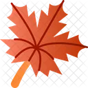 Maple Leaf Leaf Nature Icon