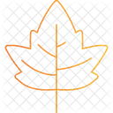 Maple Leaf Icon Icon