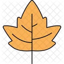 Maple Leaf Icon Icon