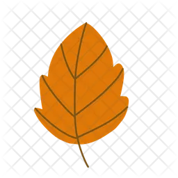 Maple Leaf  Icon