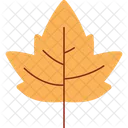 Maple Leaf Icon Icon