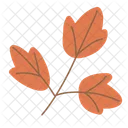 Plant Nature Leaf Icon