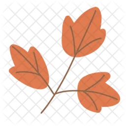 Maple Leaf  Icon