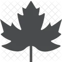 Maple Leaf  Icon