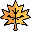 Maple Leaf  Icon