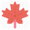 Maple Leaf  Icon