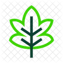 Maple Leafe Green Tree Icon
