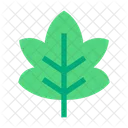 Maple Leafe Green Tree Icon