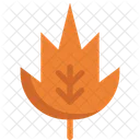 Maple Leaves Leaf Icon