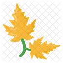 Dry Leaves Autumn Leaves Maple Leaves Icon