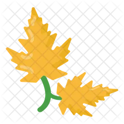 Maple Leaves  Icon