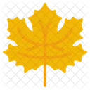 Outdoor Scenic Fall Icon