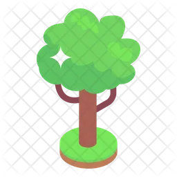 Maple Tree  Icon