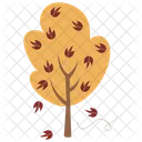 Maple Tree Autumn Tree Icon