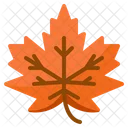 Mapple leaf  Icon