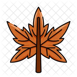 Mapple leaf  Icon