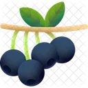 Berry Fruit Food Icon