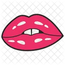 Maquillaje De Labios Femeninos  Icono