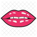 Maquillaje De Labios Femeninos  Icono