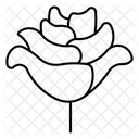 Maravilla  Icono