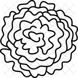 Maravilla  Icono