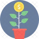 Marcado De Dinero Planta De Dinero Dinero Icon