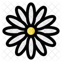 Margarita Flor Floral Icono