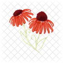 Flor Floral Florecer Icono