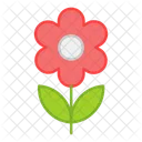 Flor De Margarita Flor Flor Icon