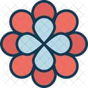 Daisy Floral Petalos De Flores Icono