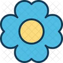 Daisy Floral Petalos De Flores Icono
