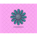 Flor De Primavera Flores De Primavera Flor De Margarita Icono