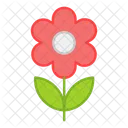 Flor De Margarita Flor Flor Icono
