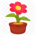 Flor De Margarita Naturaleza Planta De Interior Icono
