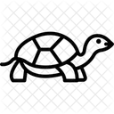Marginated Tortoise Icon