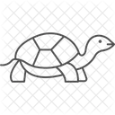 Marginated Tortoise Marginatedtortoise Reptile Icon