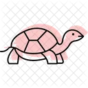 Marginated Tortoise Icon