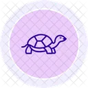 Marginated Tortoise Marginatedtortoise Reptile Icon